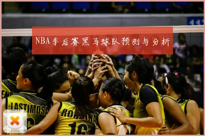 NBA季后赛黑马球队预测与分析