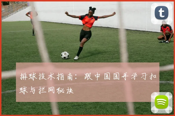 排球技术指南：跟中国国手学习扣球与拦网秘诀